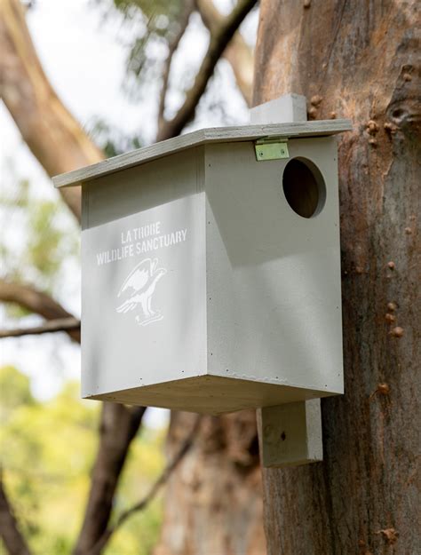 possum nesting box bunnings